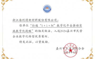 公司入选2024嘉兴市民营企业数字化转型优秀案例